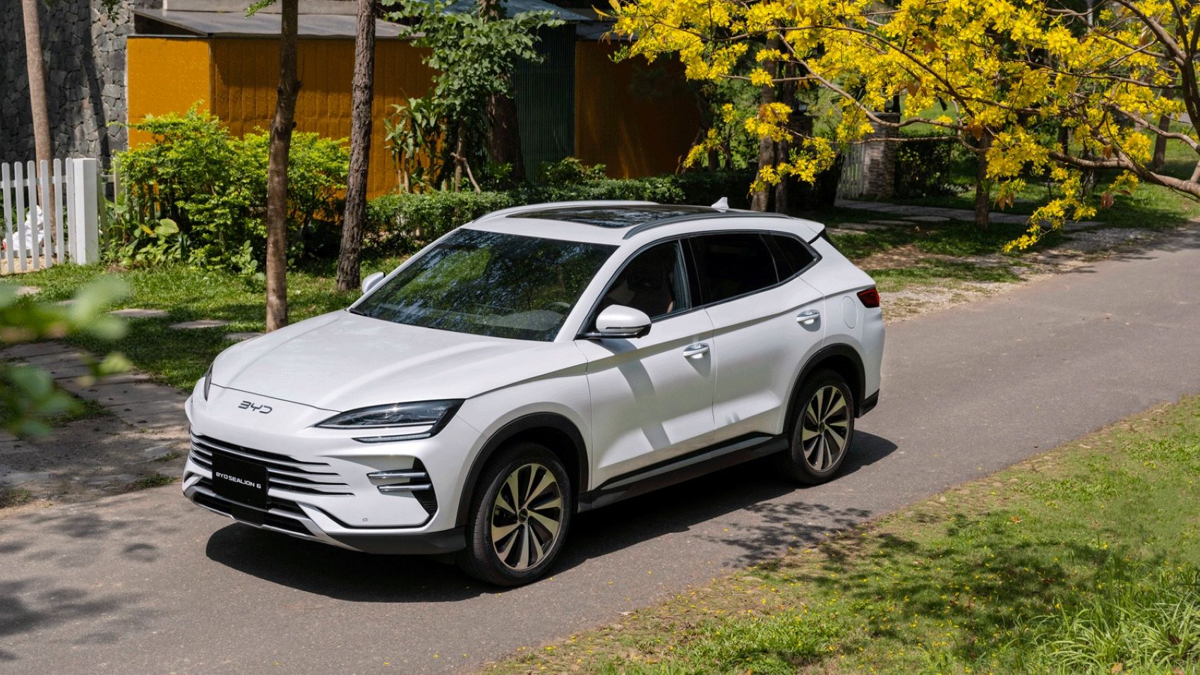 BYD Việt Nam Tung