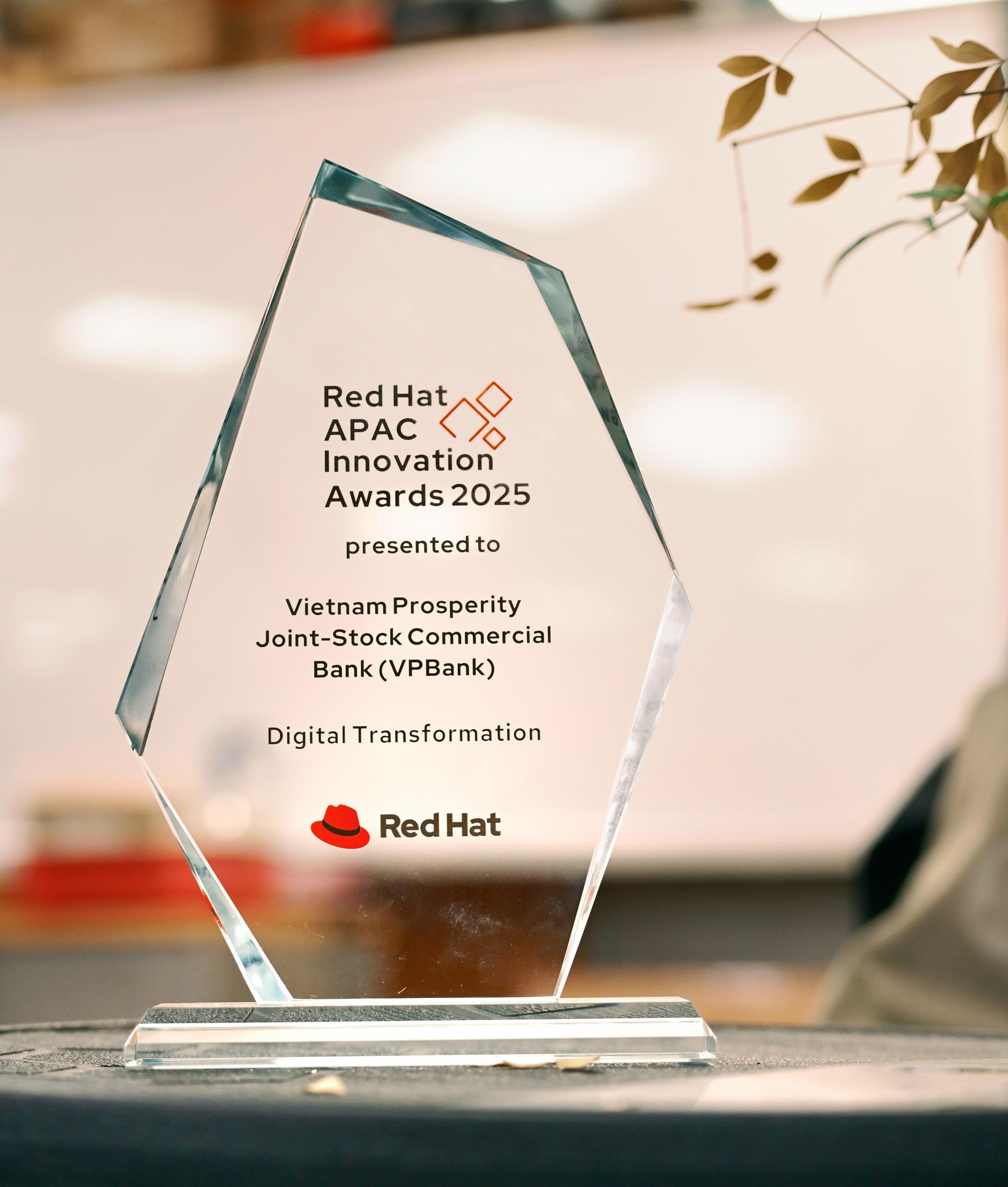 VPBank được vinh danh tại Giải thưởng Đổi mới Sáng tạo APAC 2025